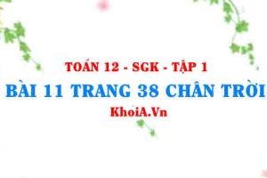 Bài 11 trang 38 Toán 12 Tập 1 Chân trời sáng tạo